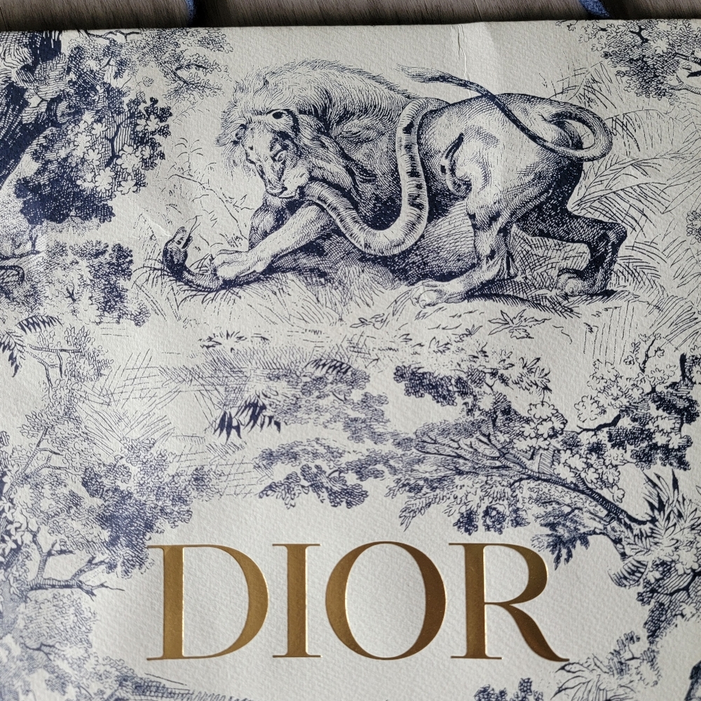 SALE🎉 Framed - Limited Edition Authentic Dior Shopping Bag - Framed - Picture 7 of 10